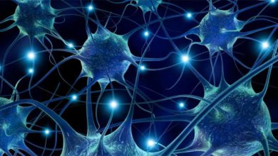 صورة الخلايا الجذعية الدماغية تدعم الذكاء الاصطناعي