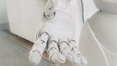 صورة علماء يطورون “أدمغة” صغيرة تمكن الروبوتات من الإحساس بالألم