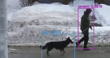 صورة يوتيوبر يدرب ذكاء اصطناعي على النظر من النافذة والكشف عن الكلاب