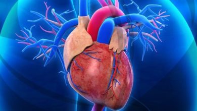 صورة كيف يُساهم الذكاء الاصطناعي في تحسين نتائج زراعة القلب؟
