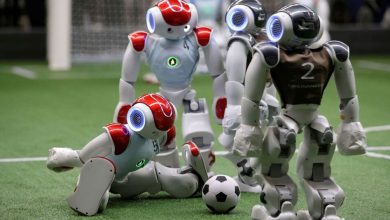 صورة الذكاء الاصطناعي يتعلم لعب كرة القدم