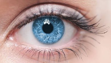 صورة كيف يمكن لخوارزميات الذكاء الاصطناعي اكتشاف إعتام عدسة العين؟