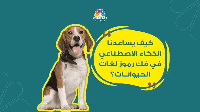 بدون-عنوان