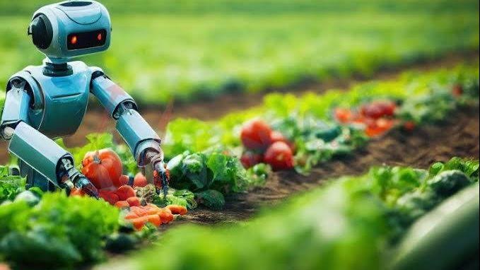الشباب الكينيون يلجؤون إلى الذكاء الاصطناعي لزراعة الغذاء ومكافحة تغيّر المناخ