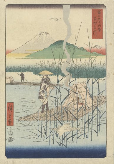 صفحات متشابهة تتراكم فوق بعضها، مع تلاشي الاختلاف بينها”