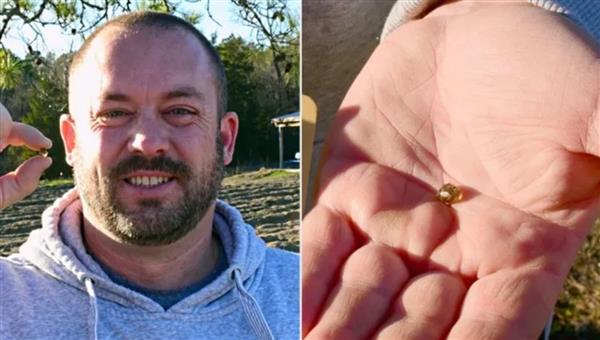 سؤال لطفل يقود لاكتشاف ماسة نادرة بمساعدة الذكاء الاصطناعي