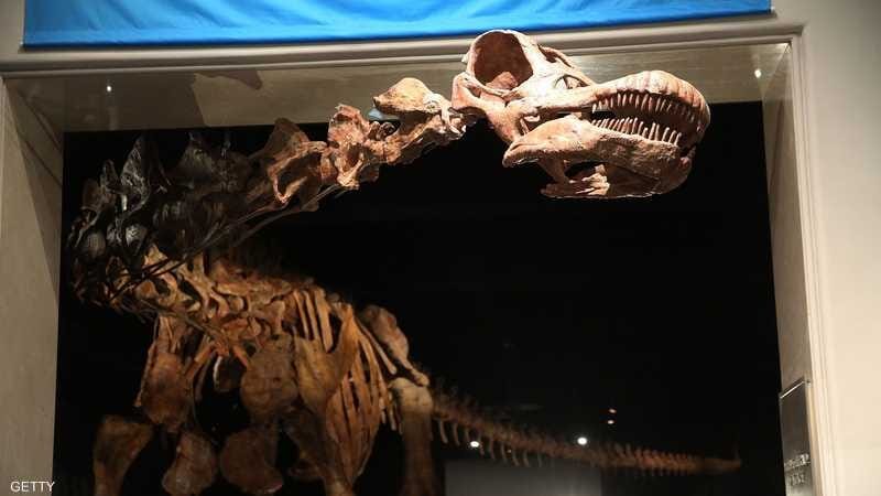 دراسة حديثة توظف الذكاء الاصطناعي لتحليل آثار أقدام الديناصورات