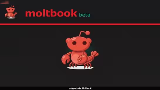 منصة “Moltbook” للذكاء الاصطناعي تفتح بابًا جديدًا للابتكار وتثير مخاوف أمنية